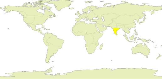 /25South India.jpg